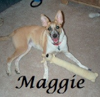 Maggie Wolfe. 2004-2015